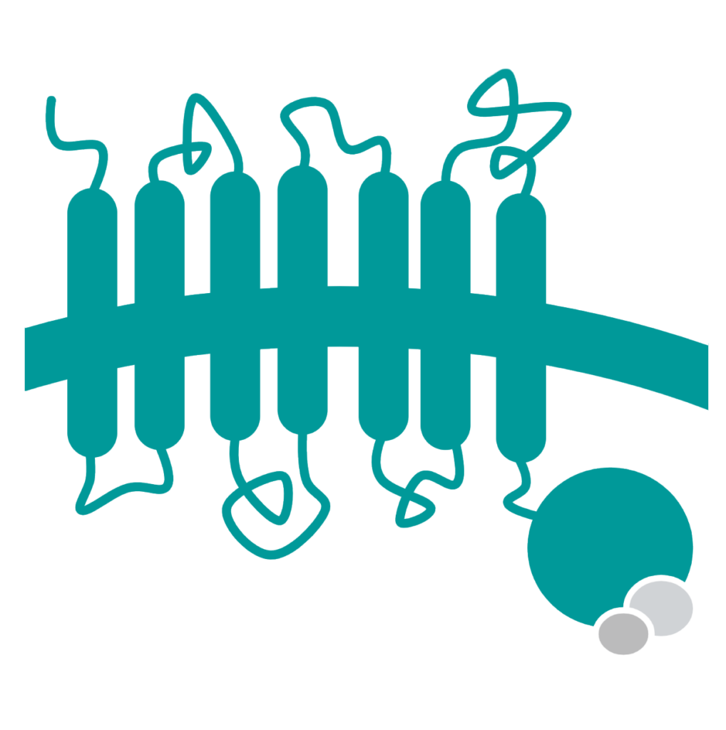 GPCR assay development - BioMedha